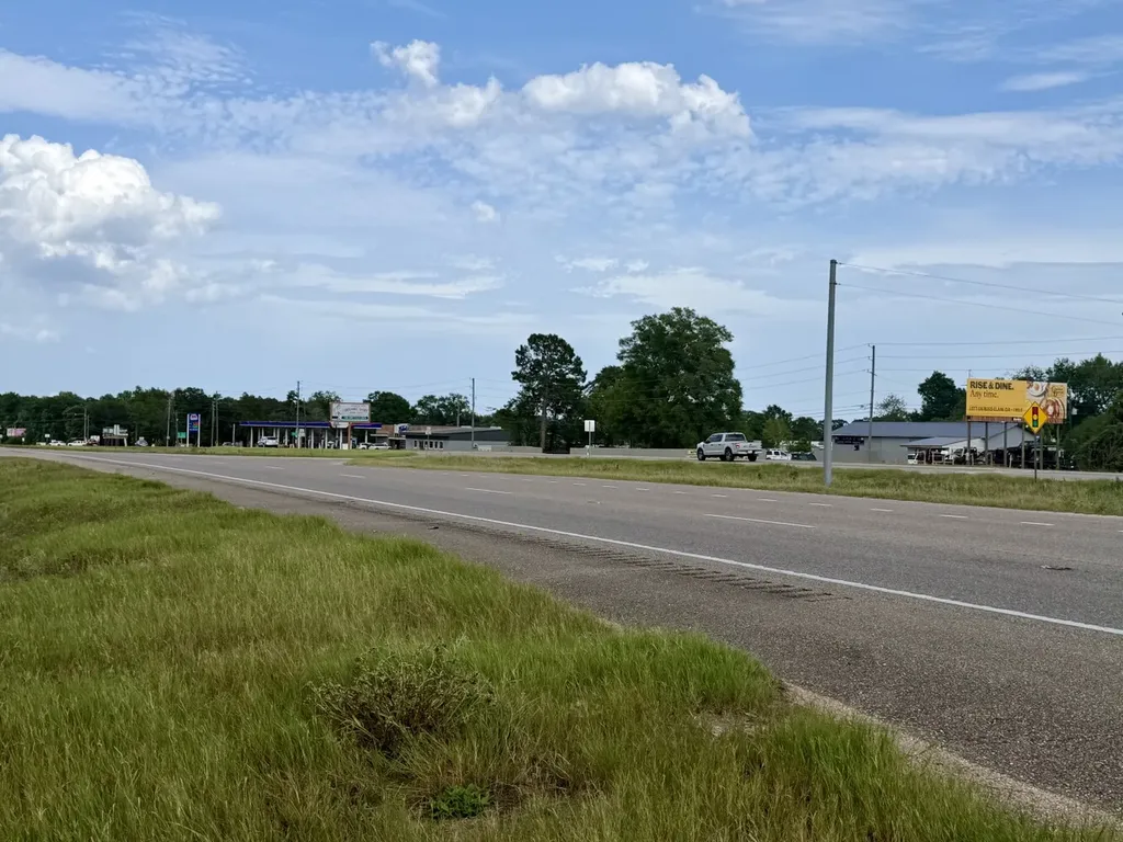 0 Highway 123 Wicksburg AL 36352