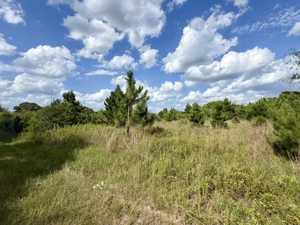 0 Highway 123 Wicksburg AL 36352