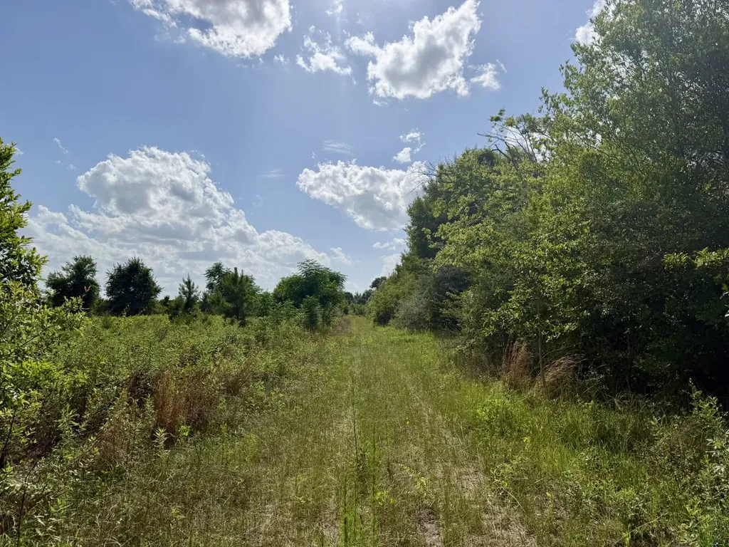 0 Highway 123 Wicksburg AL 36352