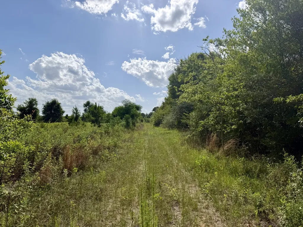 0 Highway 123 Wicksburg AL 36352