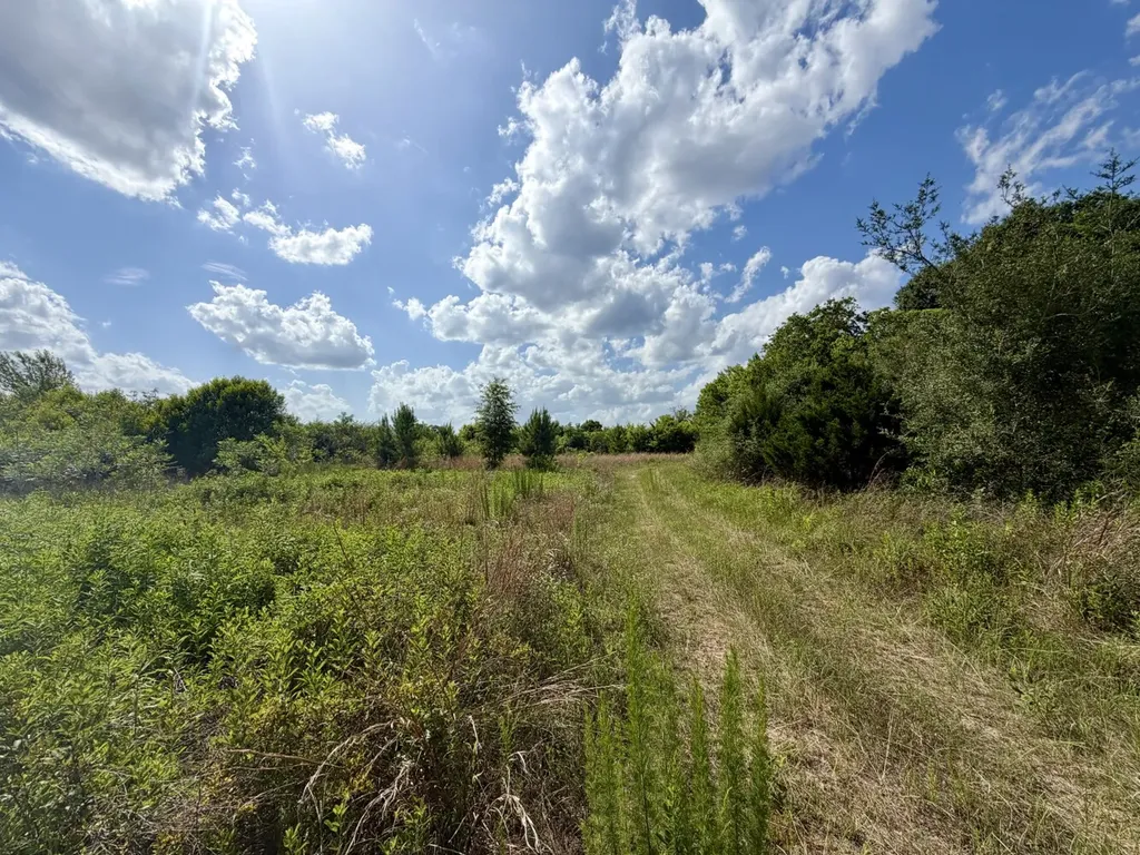0 Highway 123 Wicksburg AL 36352