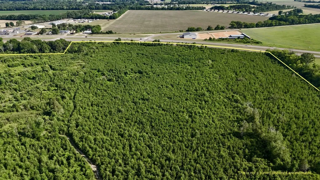 0 Highway 123 Wicksburg AL 36352