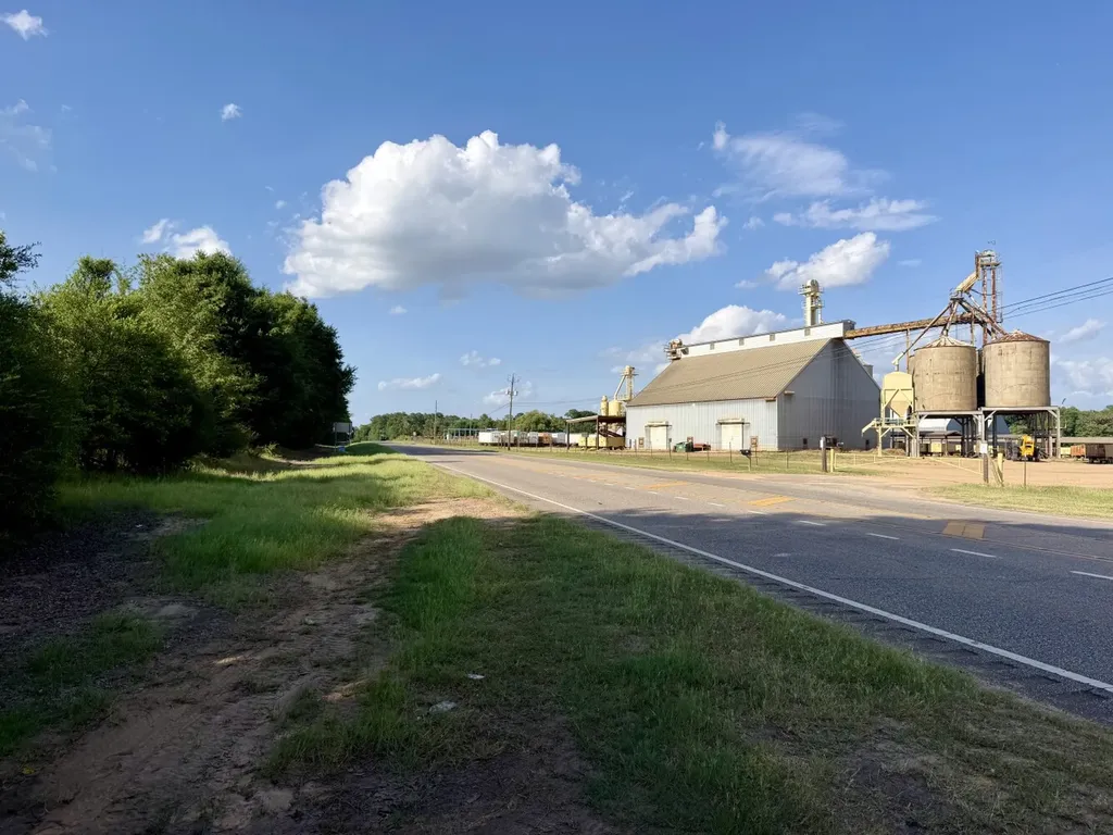 0 Highway 123 Wicksburg AL 36352