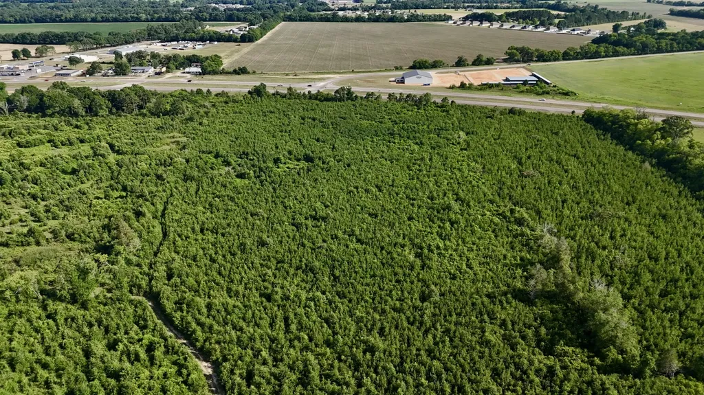 0 Highway 123 Wicksburg AL 36352