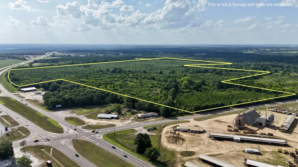 0 Highway 123 Wicksburg AL 36352