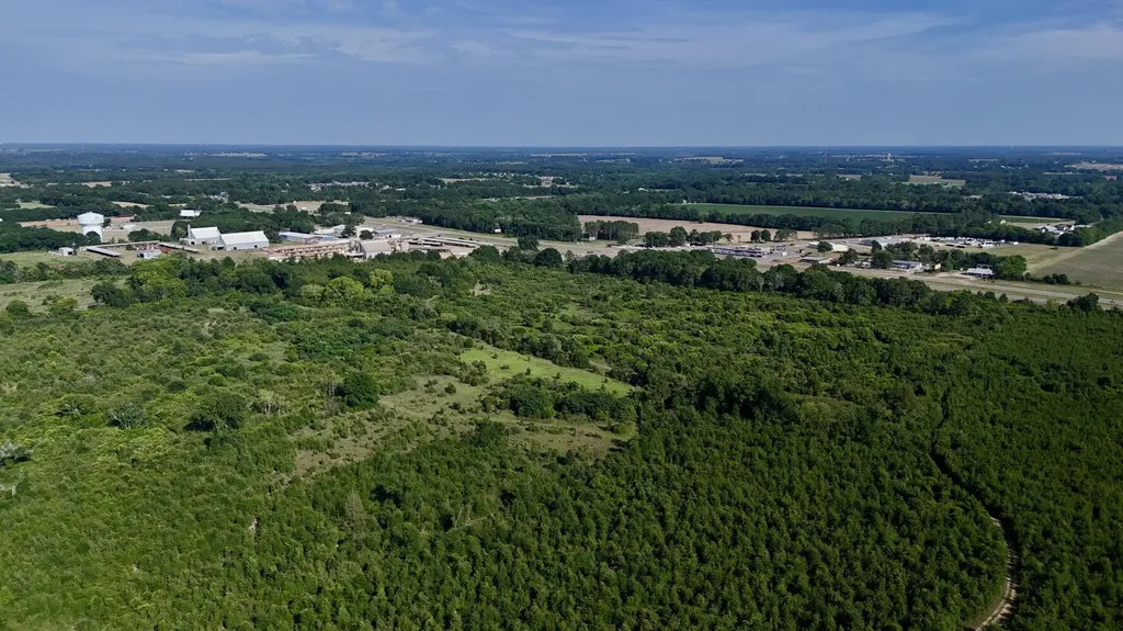 1 Highway 84 Wicksburg AL 36352