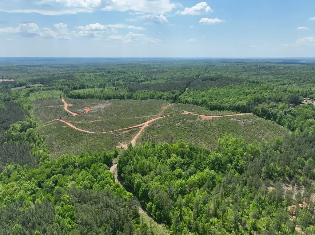 0 County Road 695 Roanoke AL 36274
