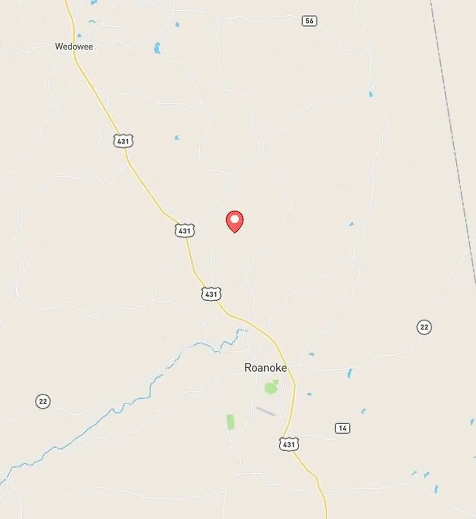 0 County Road 695 Roanoke AL 36274