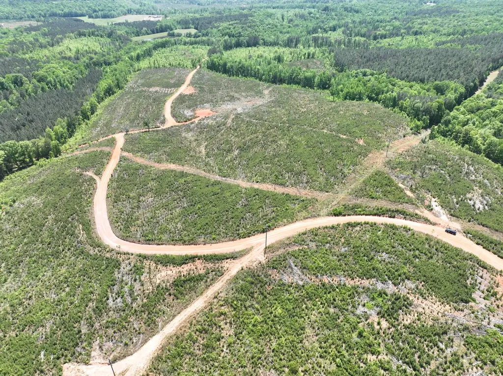 0 County Road 695 Roanoke AL 36274