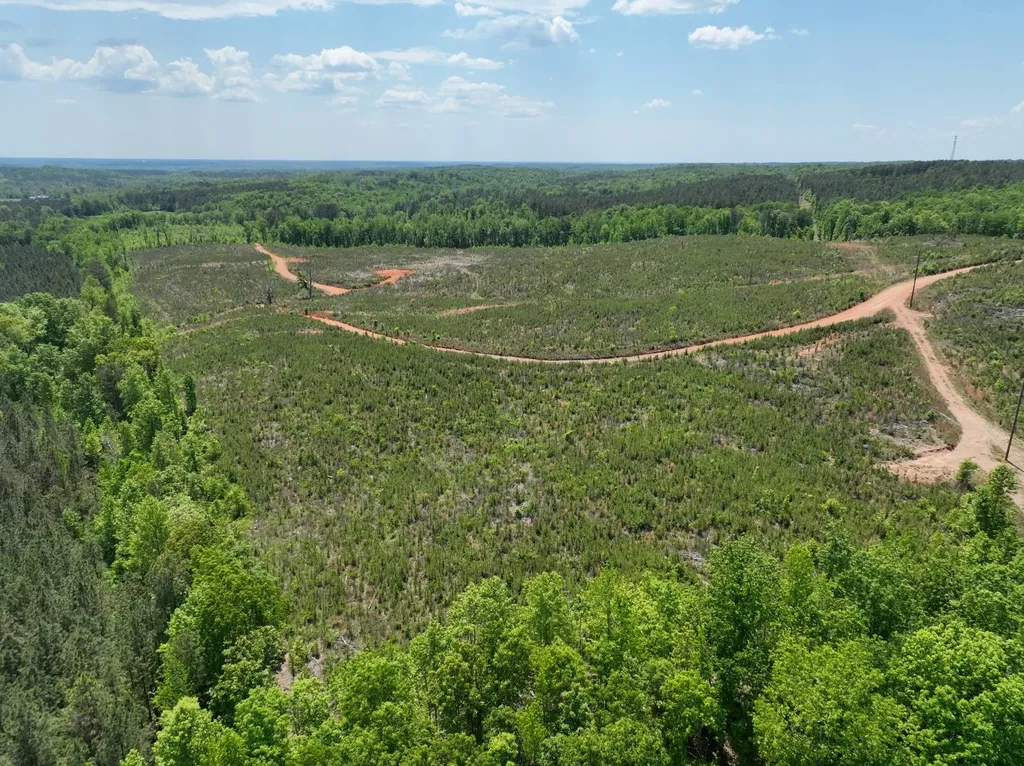 0 County Road 695 Roanoke AL 36274