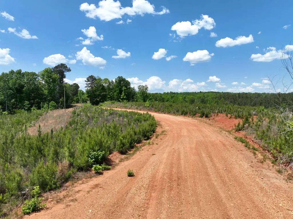 0 County Road 695 Roanoke AL 36274