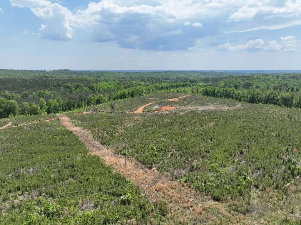 0 County Road 695 Roanoke AL 36274