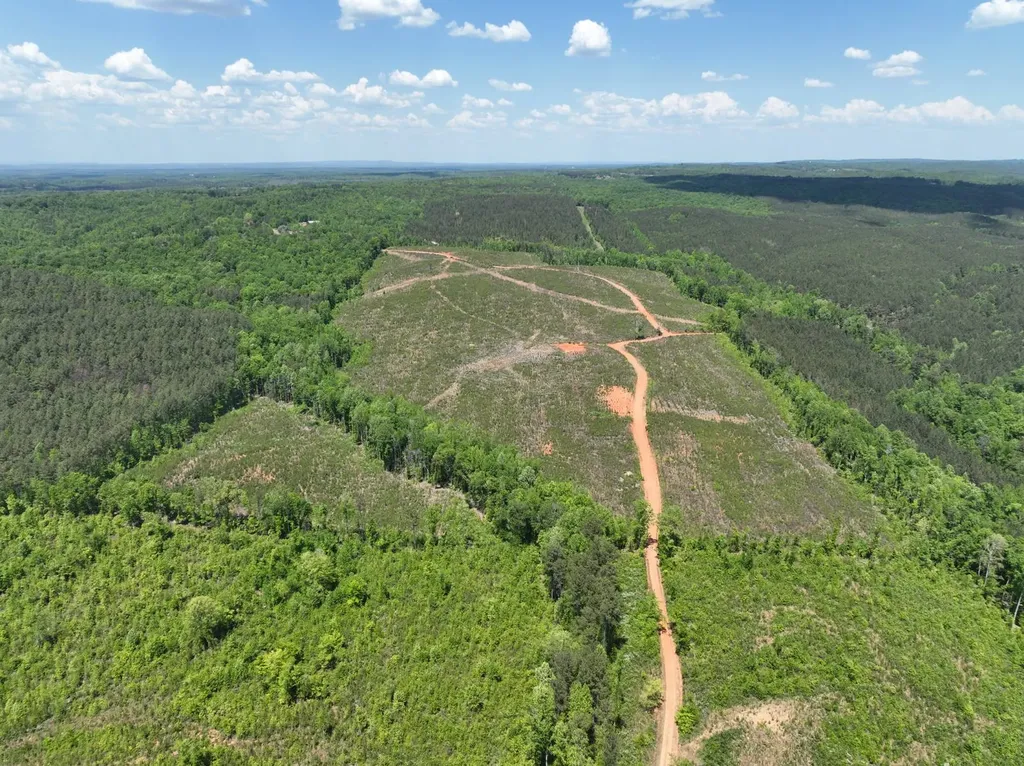 0 County Road 695 Roanoke AL 36274