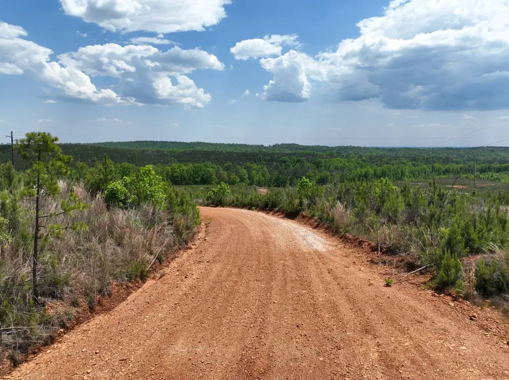 0 County Road 695 Roanoke AL 36274