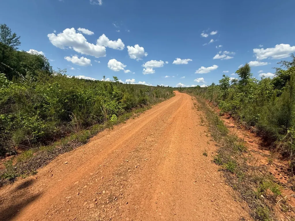 0 County Road 695 Roanoke AL 36274