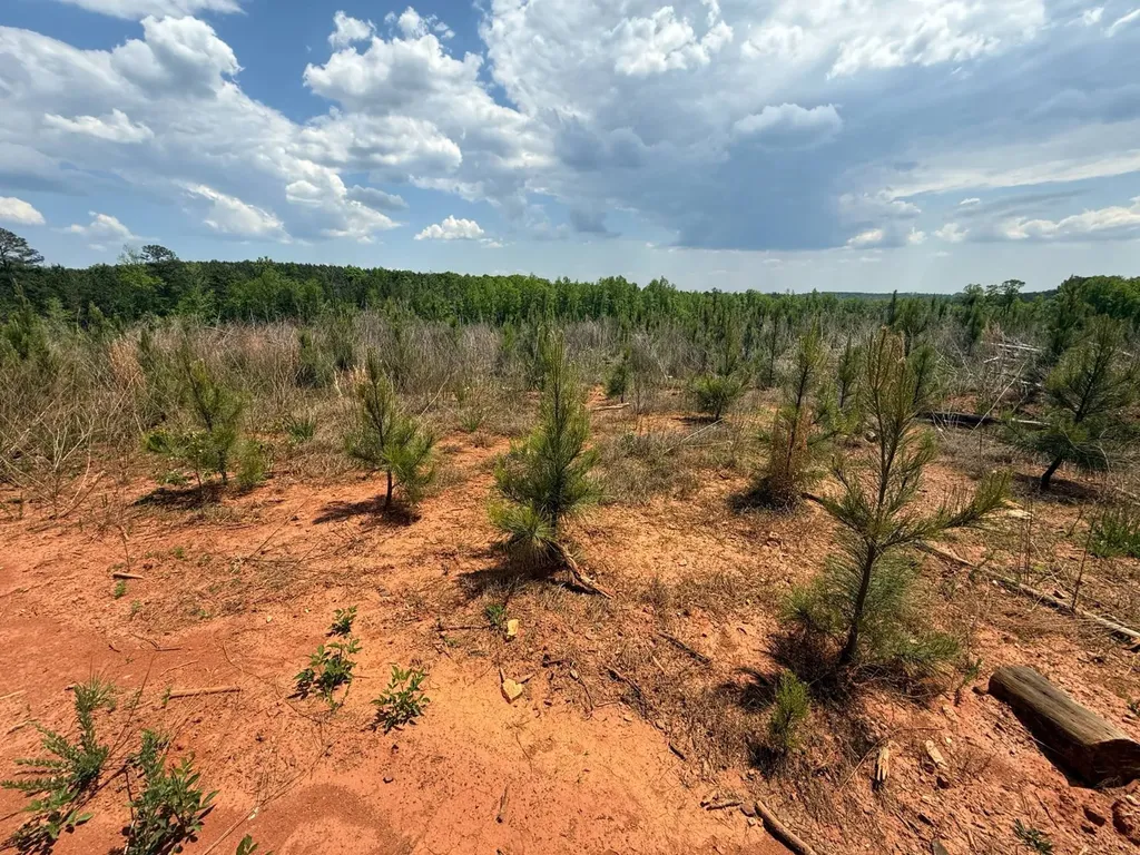 0 County Road 695 Roanoke AL 36274