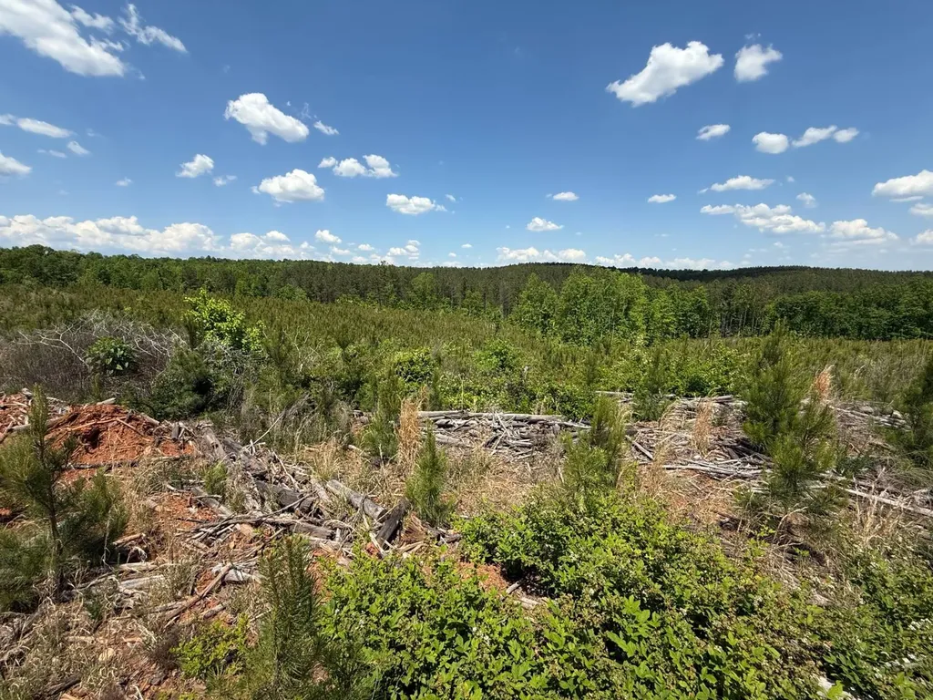 0 County Road 695 Roanoke AL 36274