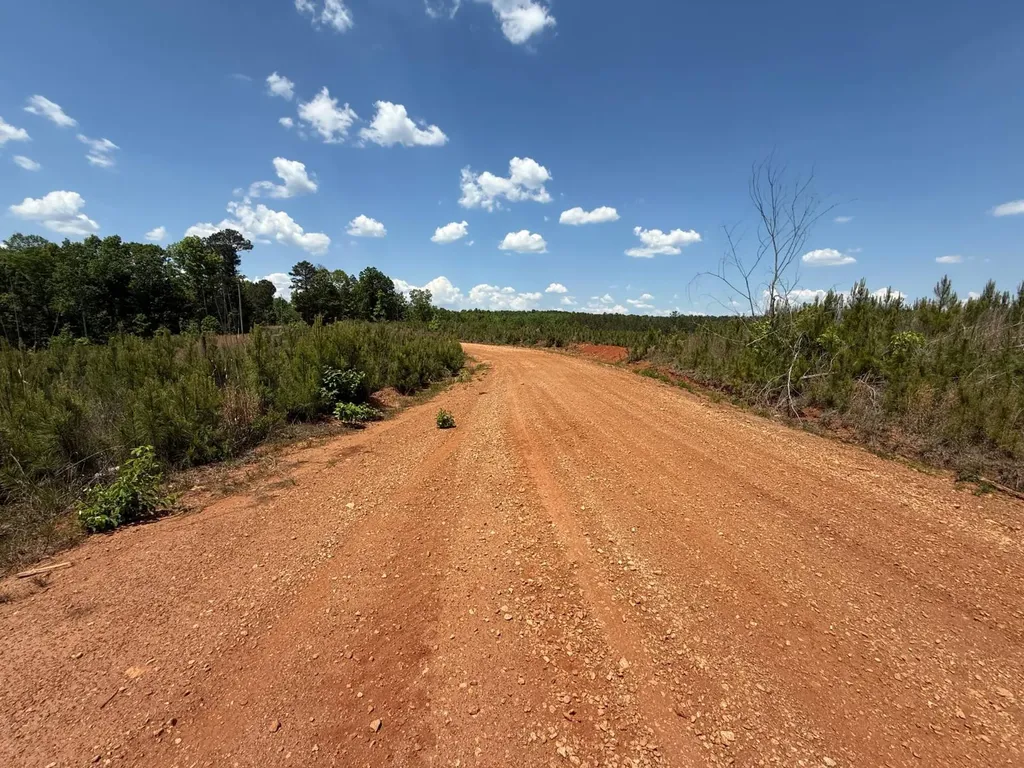 0 County Road 695 Roanoke AL 36274