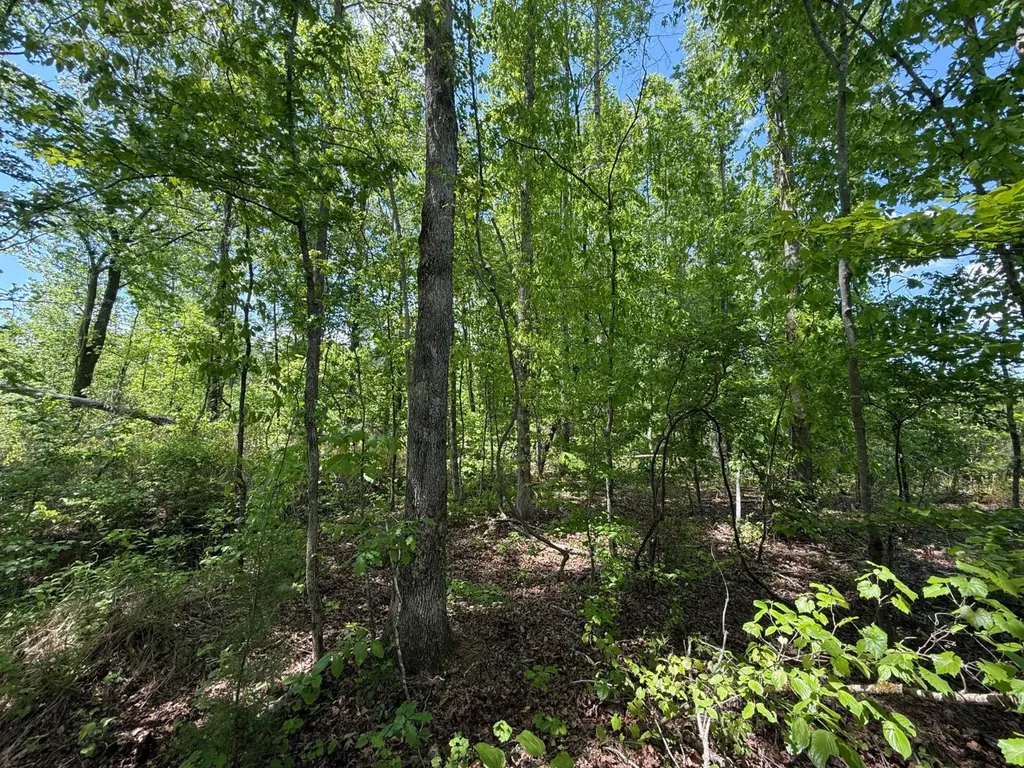 0 County Road 695 Roanoke AL 36274