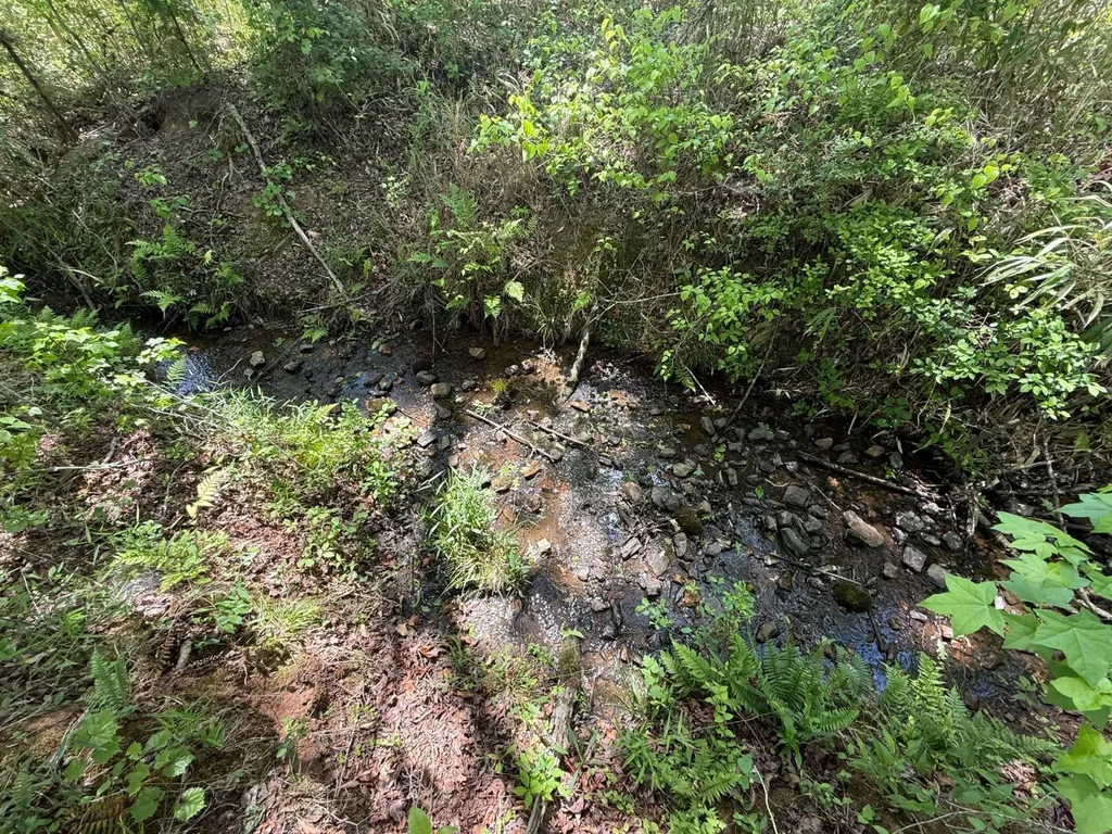 0 County Road 695 Roanoke AL 36274