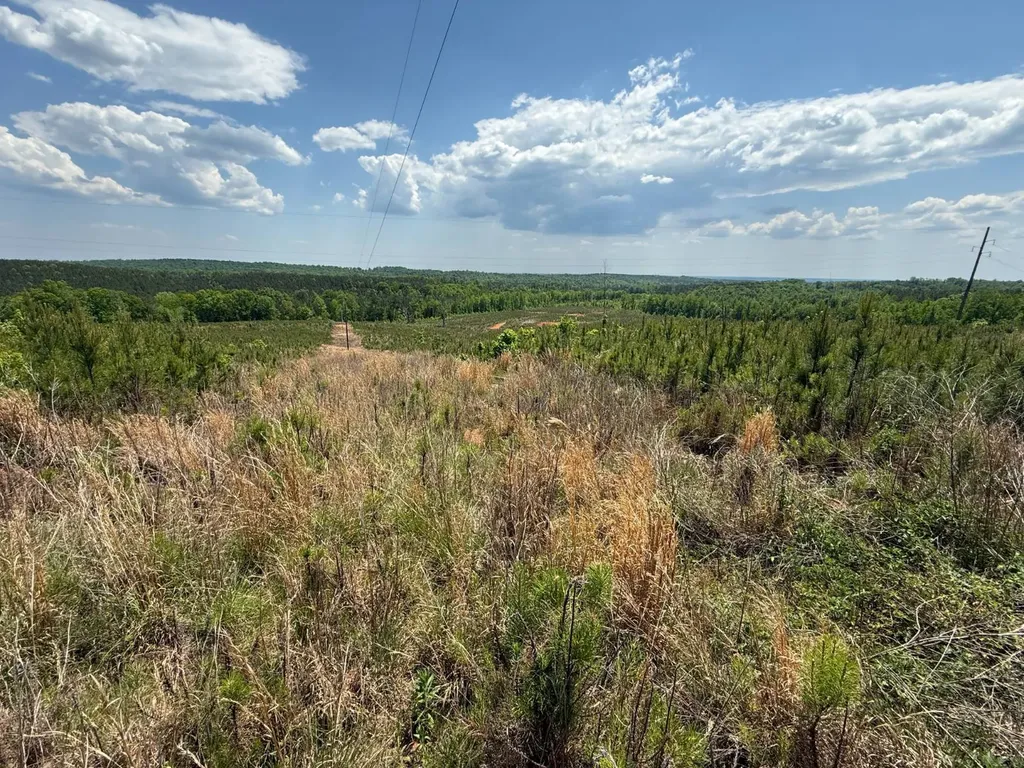 0 County Road 695 Roanoke AL 36274