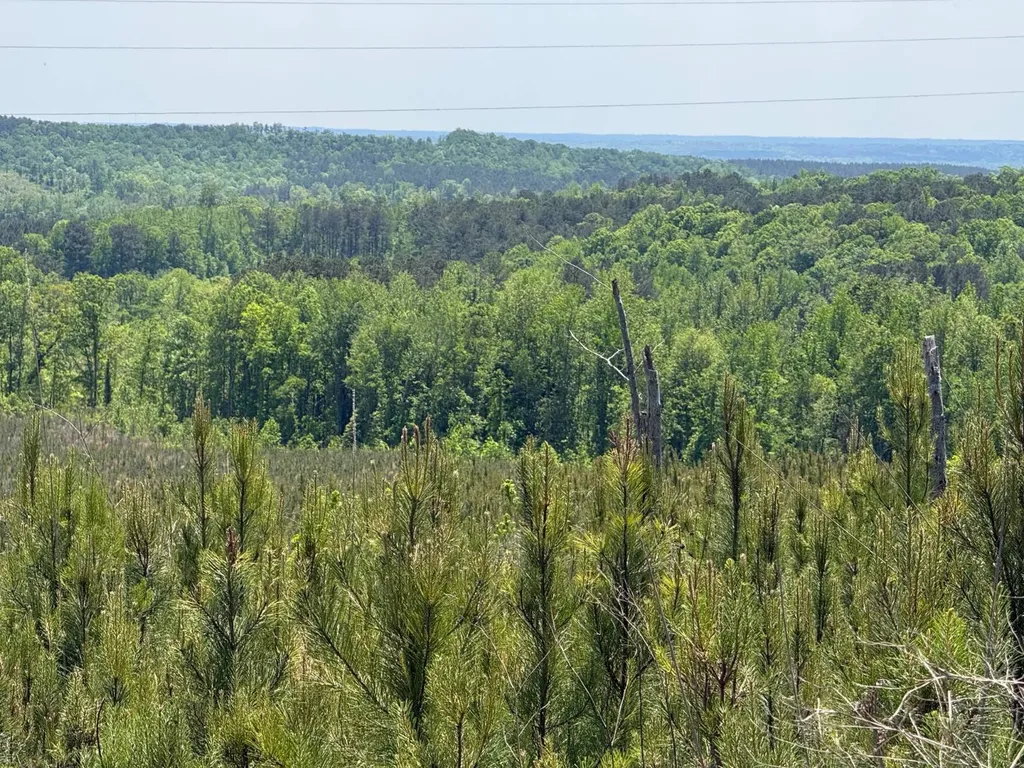0 County Road 695 Roanoke AL 36274