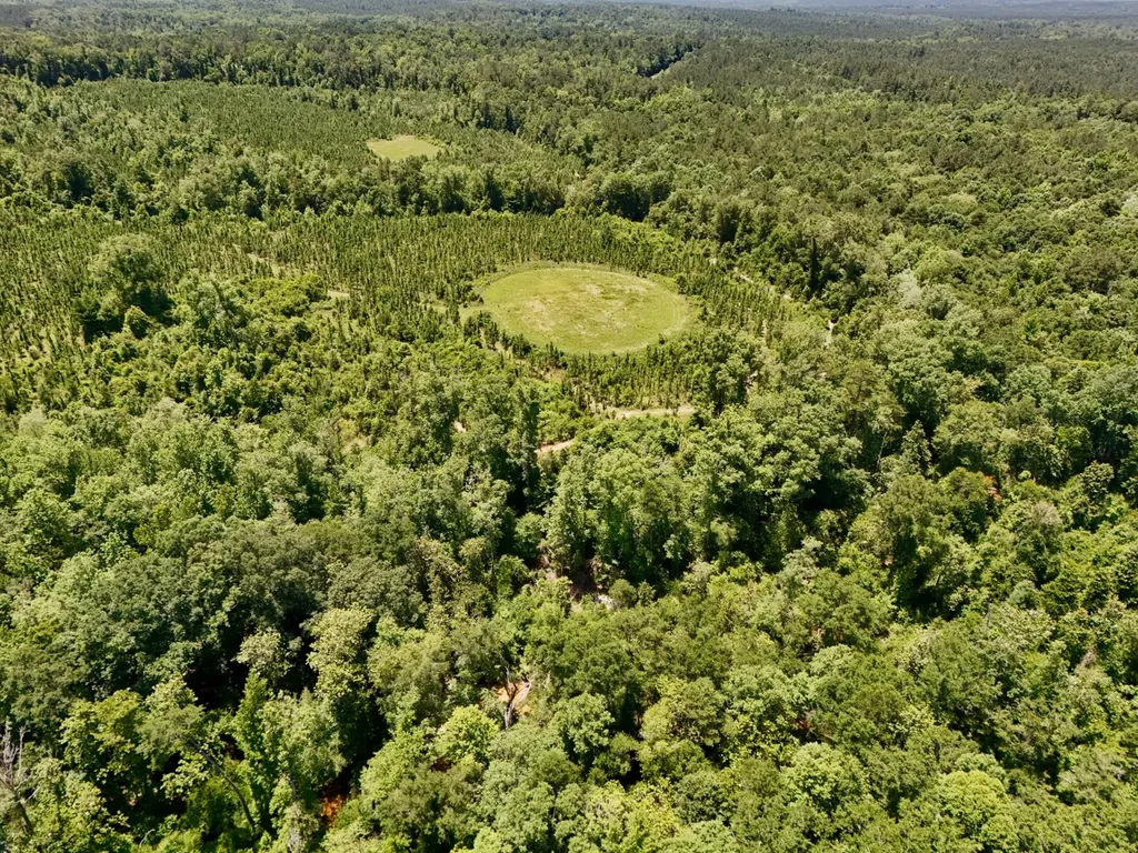 0 County Road 325 Troy AL 36079