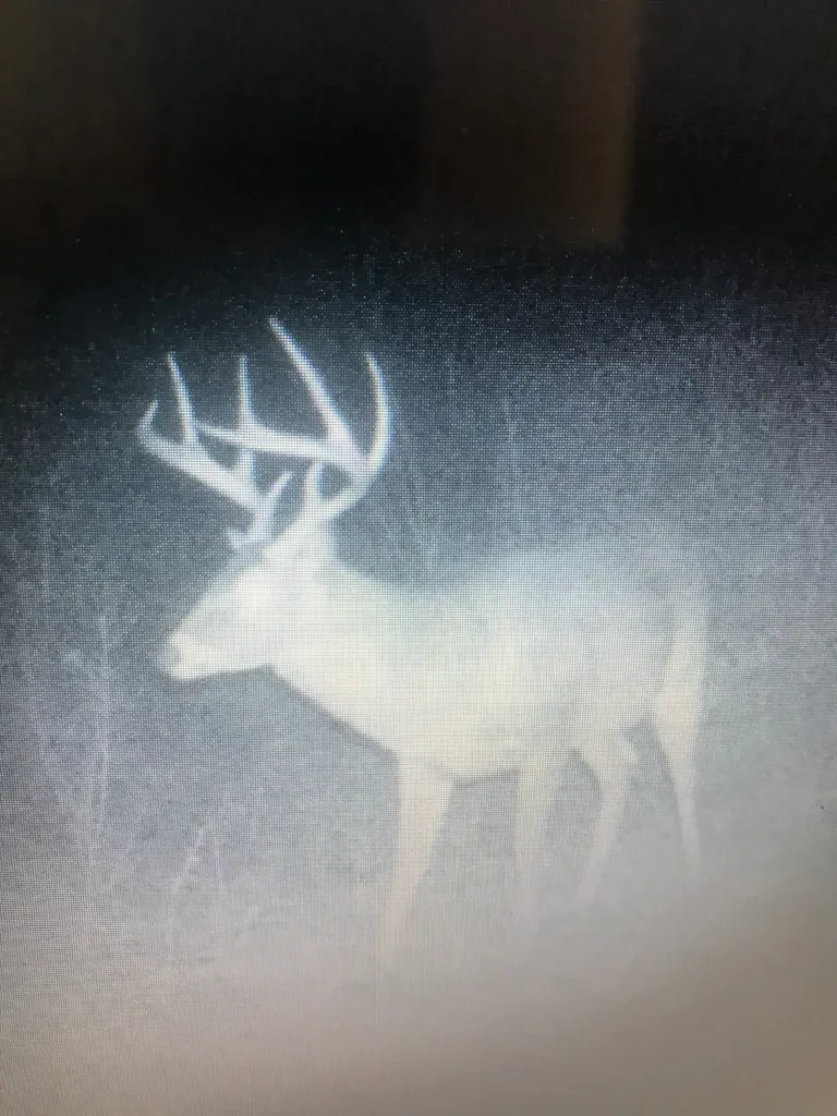 0 County Road 325 Troy AL 36079