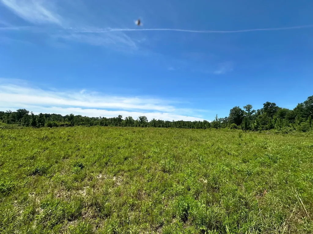 0 County Road 325 Troy AL 36079