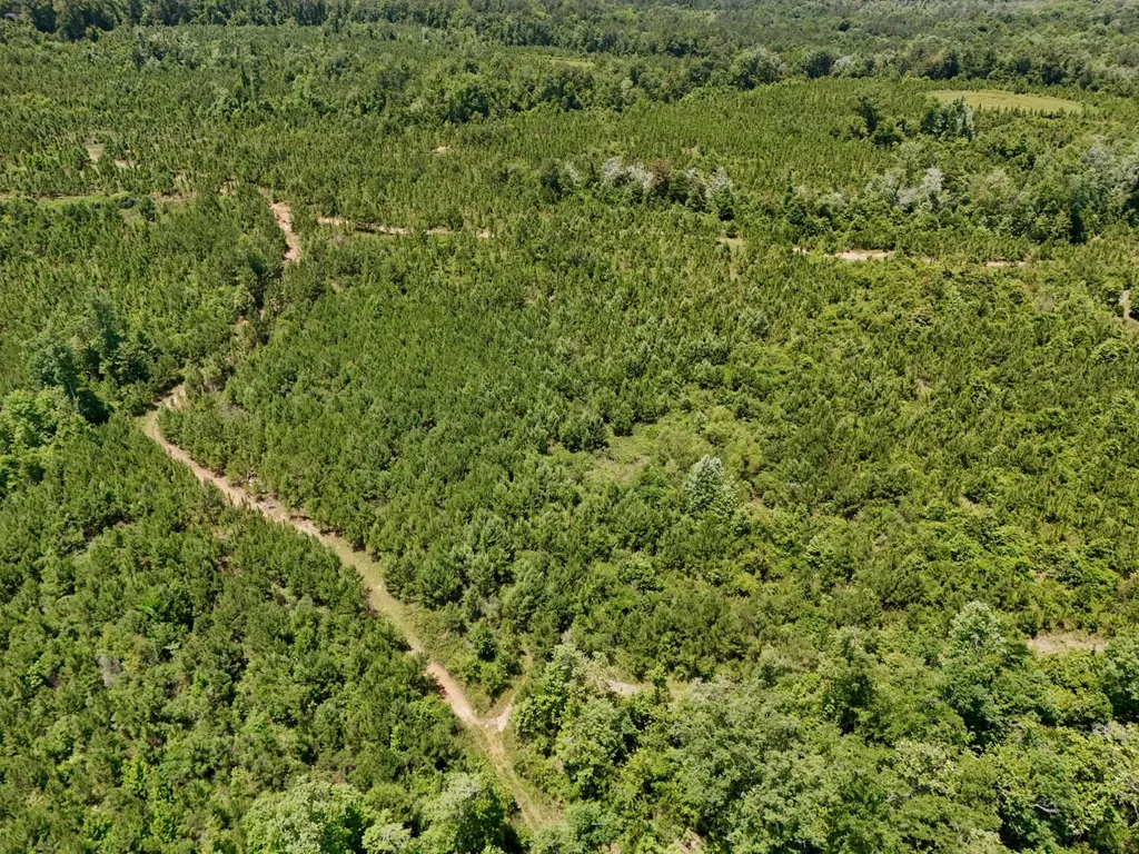0 County Road 325 Troy AL 36079