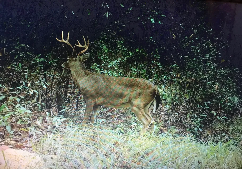 0 County Road 325 Troy AL 36079