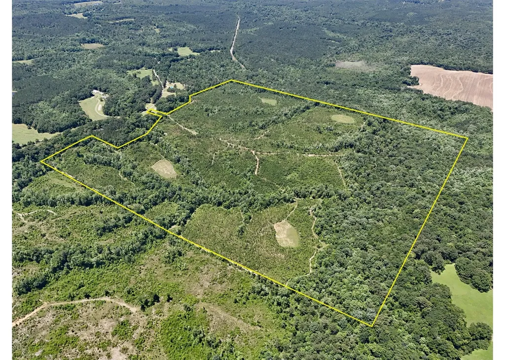 0 County Road 325 Troy AL 36079