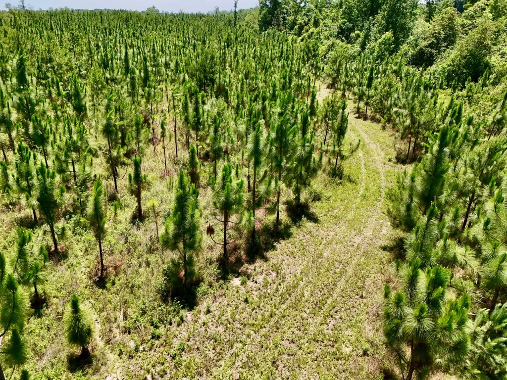 0 County Road 325 Troy AL 36079