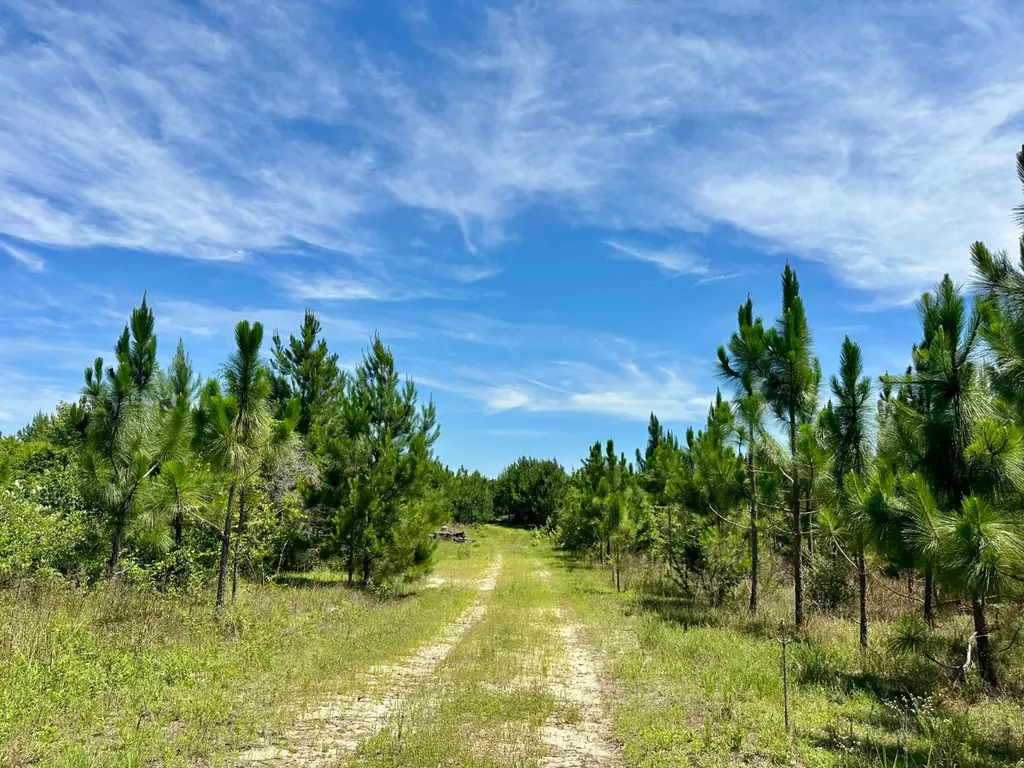 0 County Road 325 Troy AL 36079