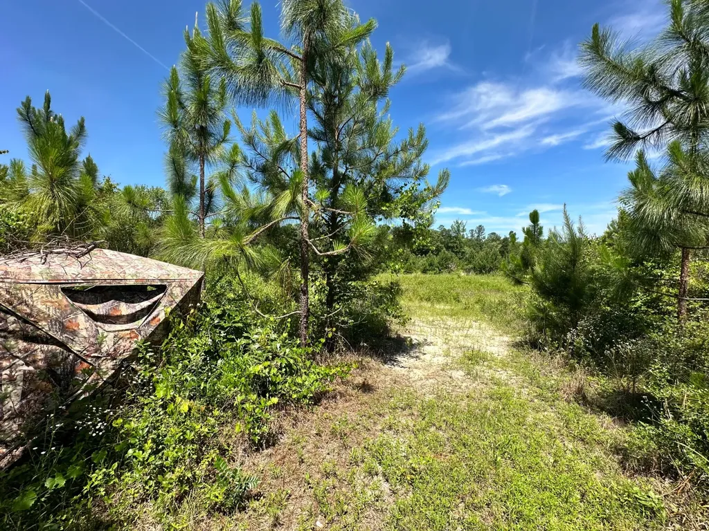 0 County Road 325 Troy AL 36079
