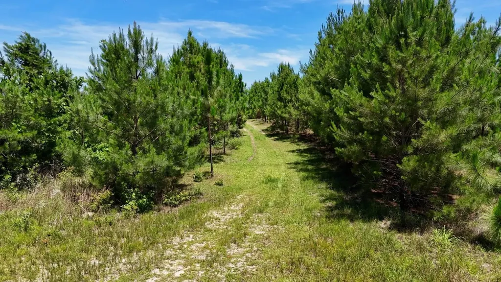 0 Co. Road 325 Troy AL 36079