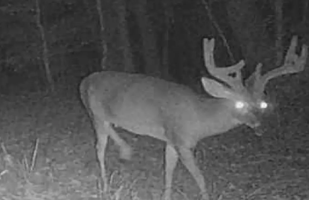 0 Co. Road 325 Troy AL 36079