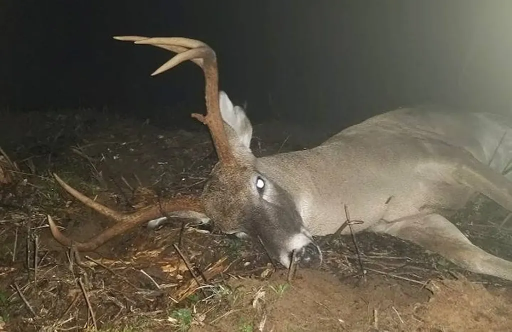 0 Co. Road 325 Troy AL 36079