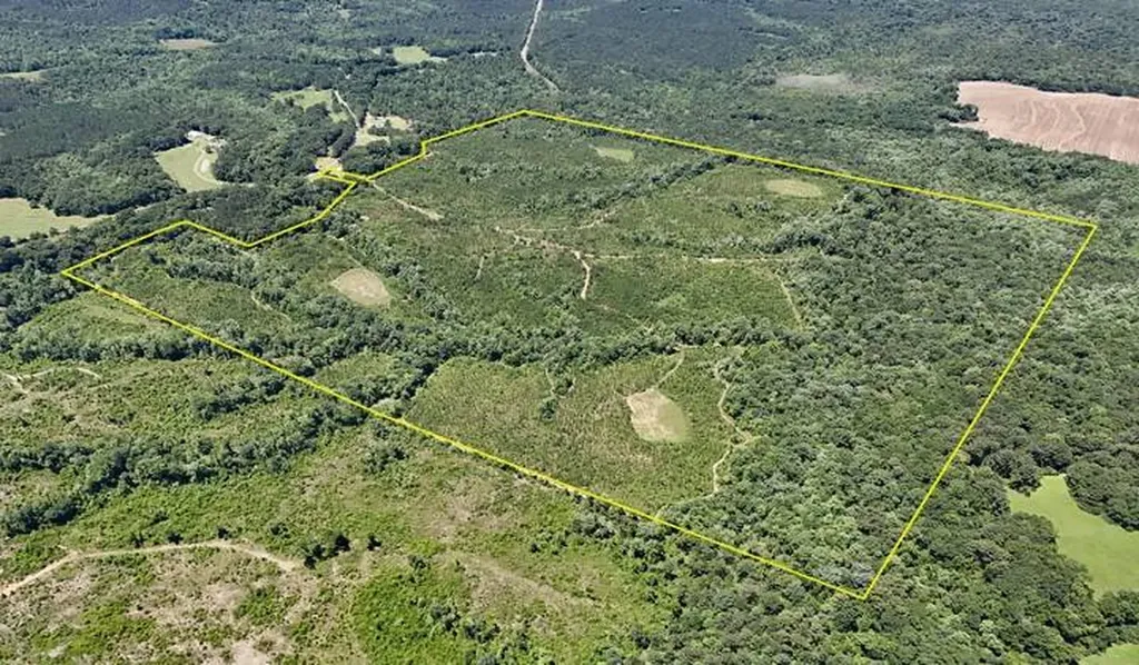 0 Co. Road 325 Troy AL 36079