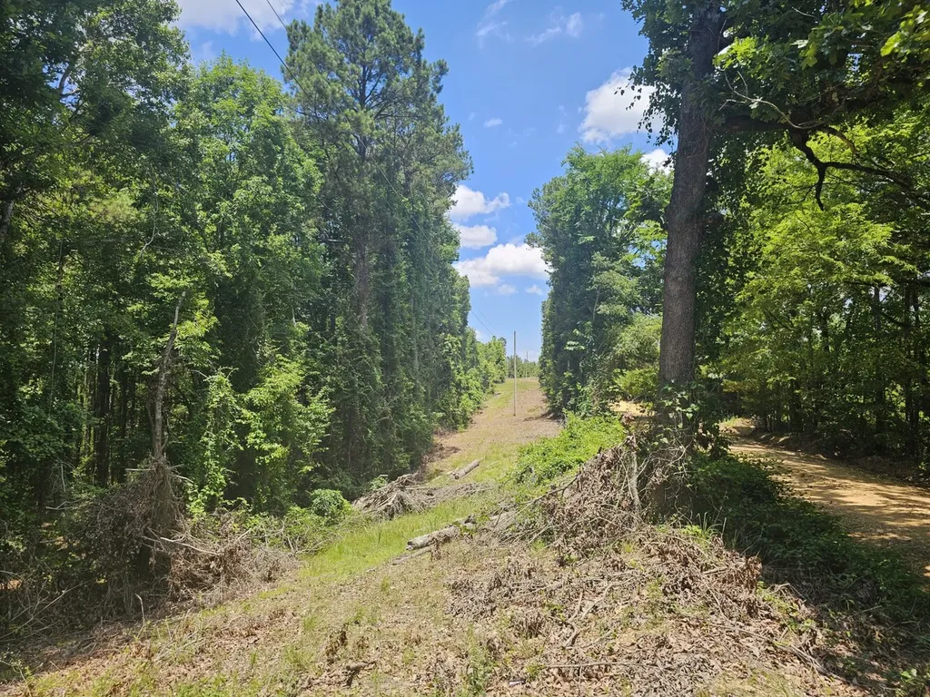 000Z Chapel Road Detroit AL 35552