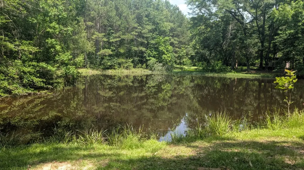 1000 Juniper Street Gallion AL 36742