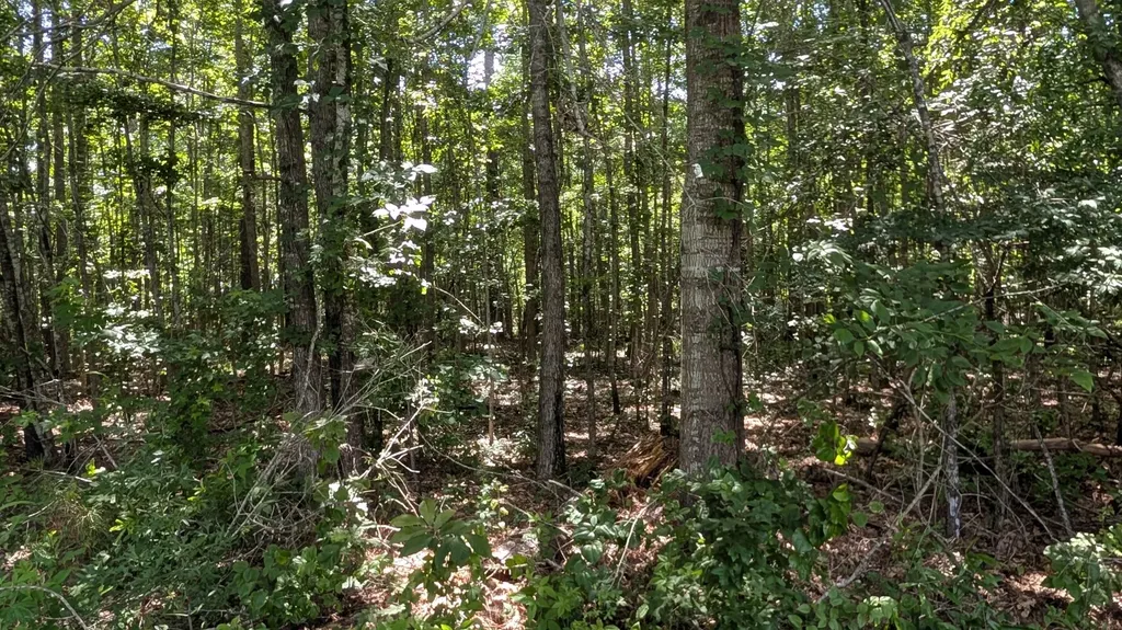 1000 Juniper Street Gallion AL 36742