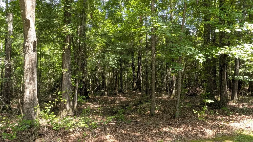 1000 Juniper Street Gallion AL 36742