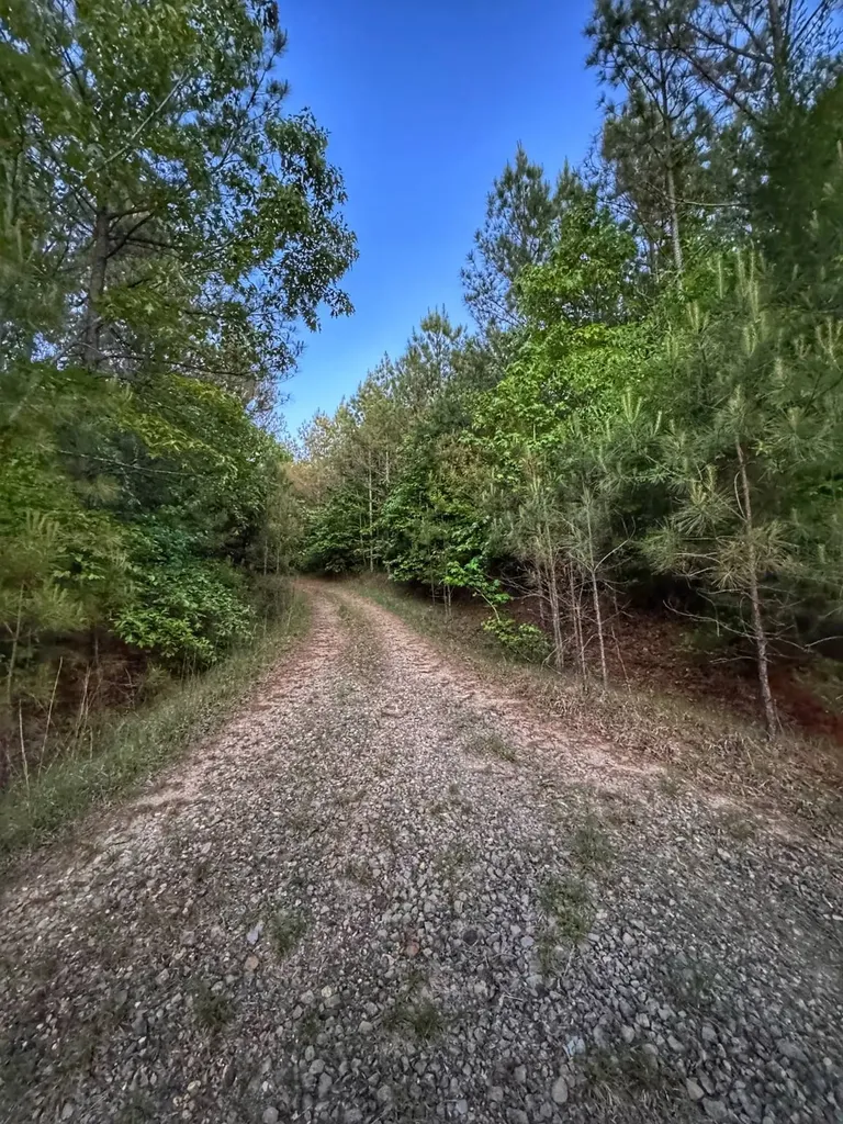 02 Grant Road Hamilton Al AL 35593