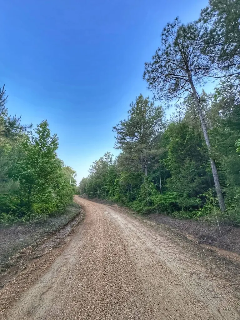 02 Grant Road Hamilton Al AL 35593