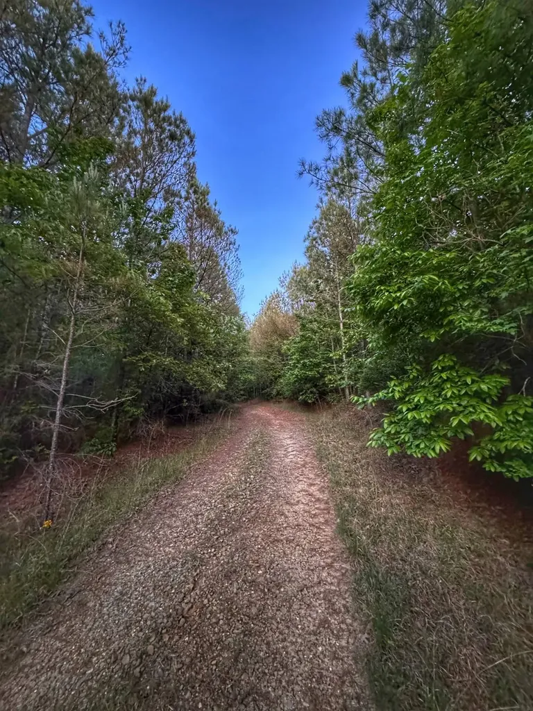 02 Grant Road Hamilton Al AL 35593