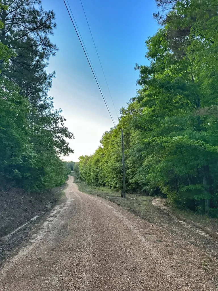02 Grant Road Hamilton Al AL 35593
