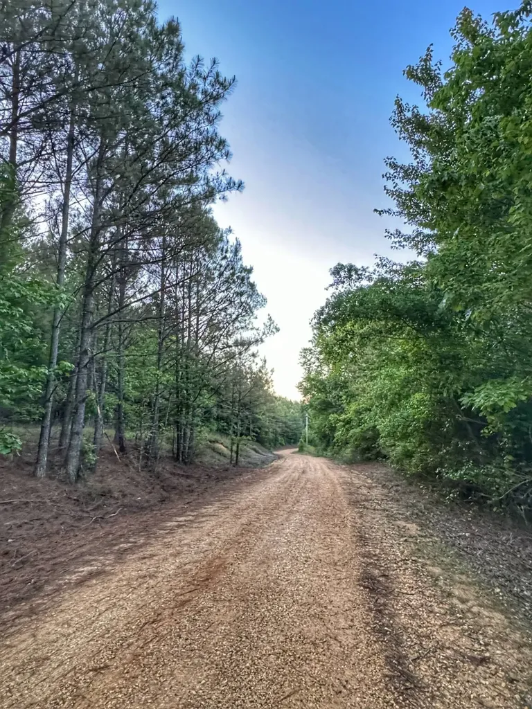 02 Grant Road Hamilton Al AL 35593