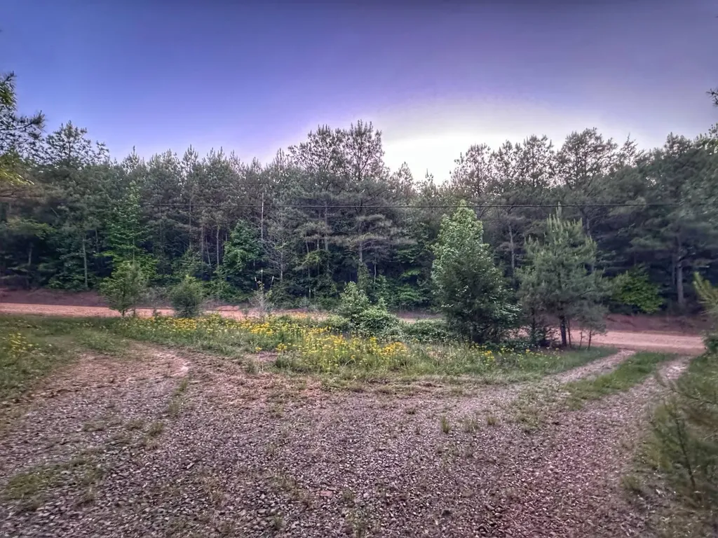 03 Grant Road Hamilton Al AL 35593