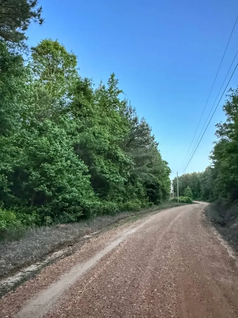03 Grant Road Hamilton Al AL 35593